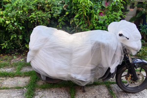 Bike Transportation img